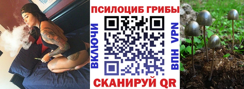 купить наркоту  Курчатов  площадка какой сайт  Псилоцибиновые грибы мухоморы 